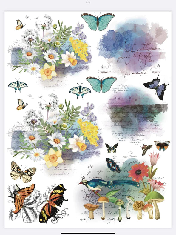 Glamour Tribe Nature transfers