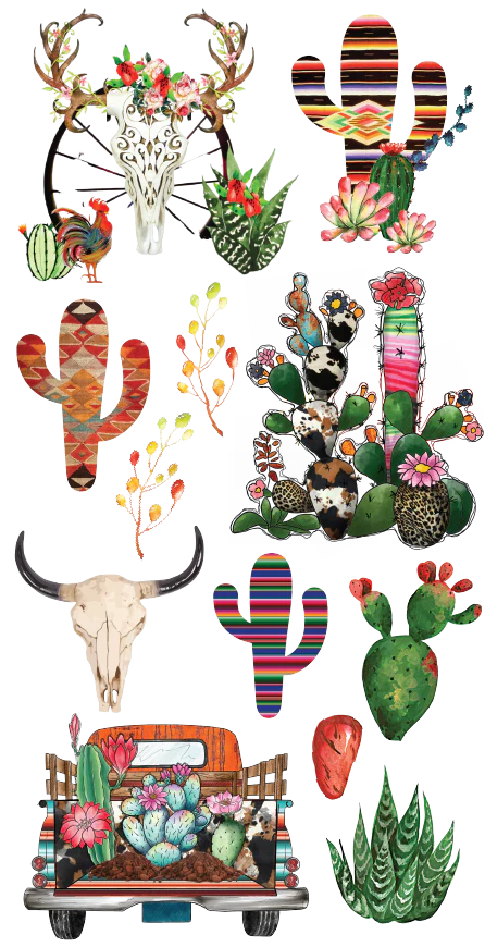 Toshia's Cacti Transfers