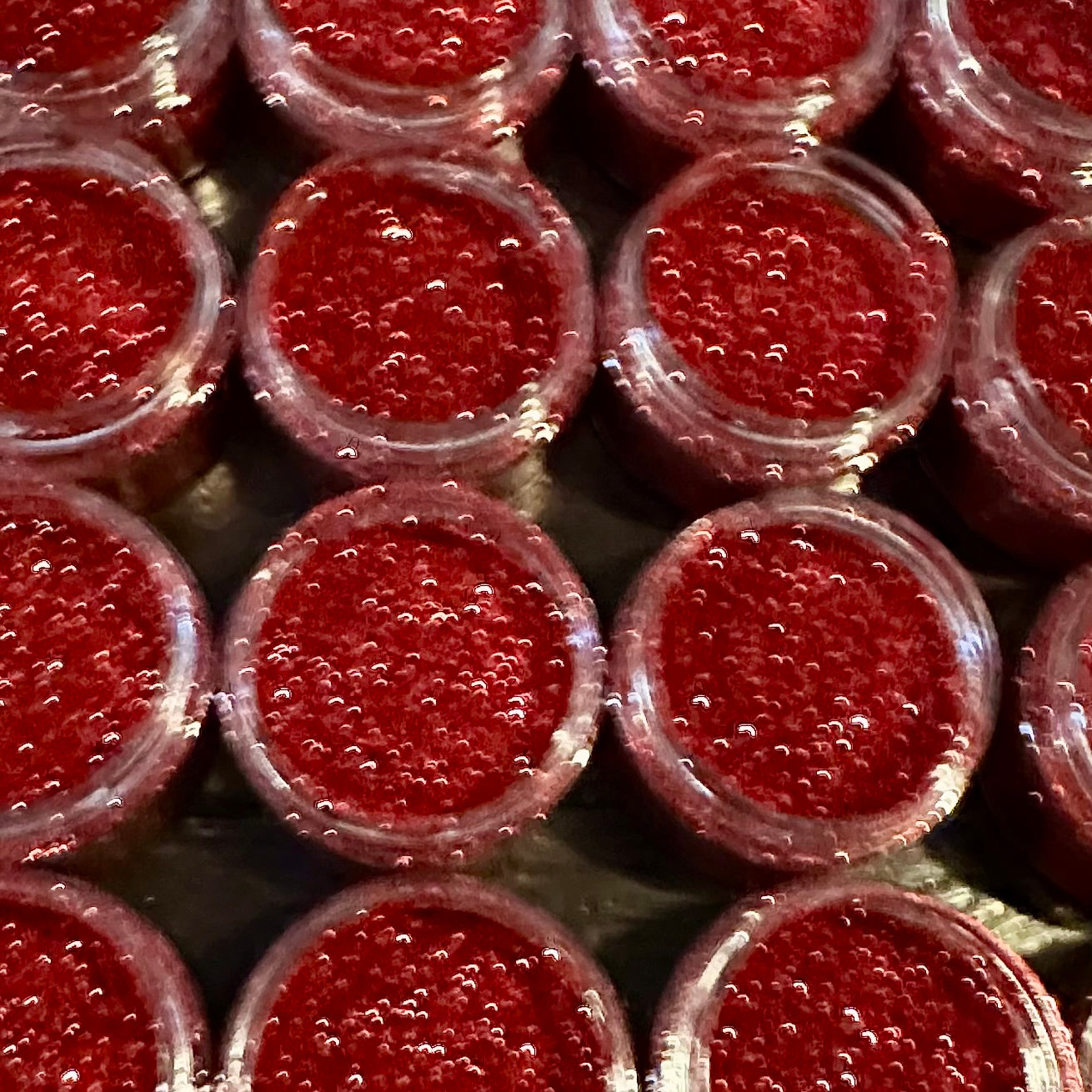 The LET THEM Collection