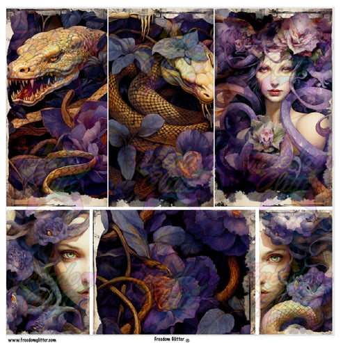 Medusa 3