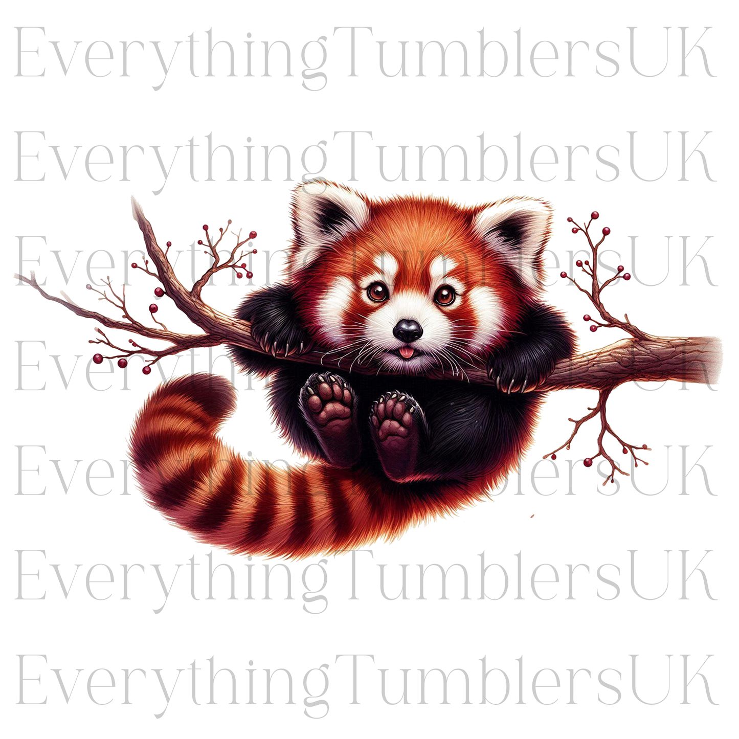 Red Panda