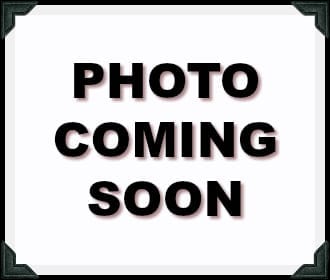 Miss Lillians Chock Paint Miss Lillians Chock Paint 8 OZ SAMPLE Miss Lillian's NO WAX Chock Paint - Midnight Fern